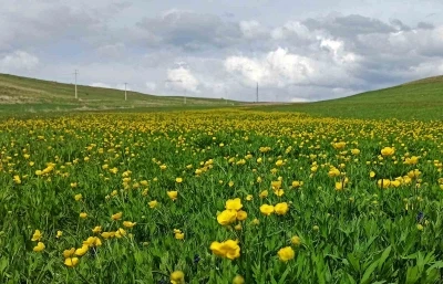 Ahlat&rsquo;ta ovalar d&uuml;ğ&uuml;n &ccedil;i&ccedil;ekleri ve mor s&uuml;mb&uuml;llerle şenlendi
