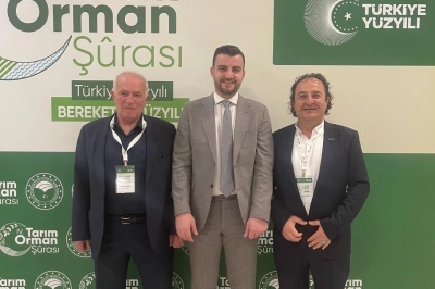 Ahşap Palet Sekt&ouml;r&uuml; Destek Bekliyor