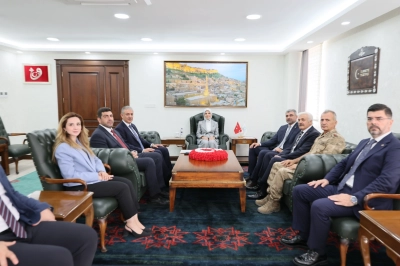 Aile ve Sosyal Hizmetler Bakanı G&ouml;ktaş, Mardin'de Konuştu