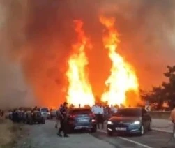 Bursa G&uuml;rsu'da Alevler karayolunu b&ouml;yle sardı, makam ara&ccedil;ları az daha yanıyordu