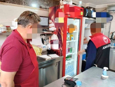 Amasya&rsquo;da 26 tavuk d&ouml;nerciye 9,5 milyon TL&rsquo;den fazla ceza yağdı
