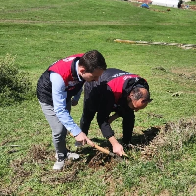 Amasya&rsquo;da tarım ekipleri s&uuml;ne s&uuml;rvey &ccedil;alışmalarını s&uuml;rd&uuml;r&uuml;yor

