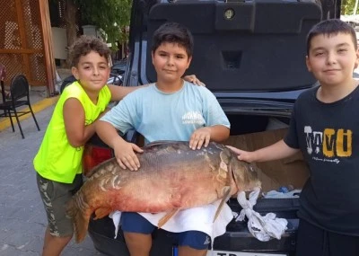 Amat&ouml;r balık&ccedil;ı 38 kiloluk sazan yakaladı