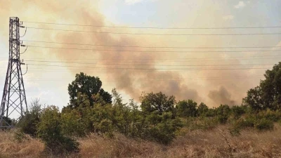 Anız yangını ormana sı&ccedil;radı, ekipler seferber oldu