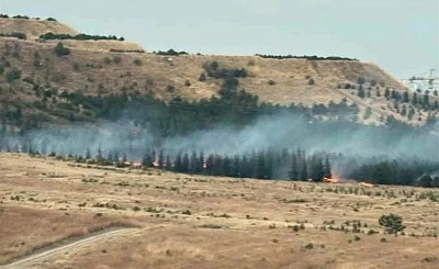 Ankara&rsquo;da ağa&ccedil;lık alanda yangın