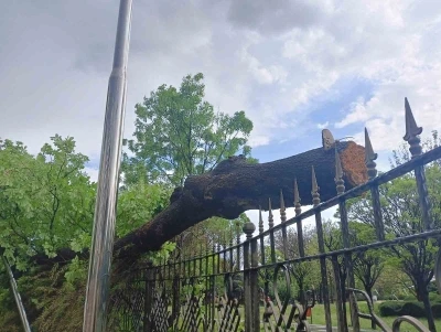 Ankara&rsquo;da fırtına ağa&ccedil;ları devirdi
