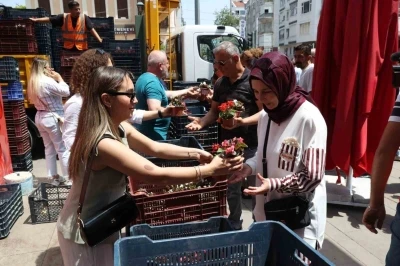 Antalya B&uuml;y&uuml;kşehir&rsquo;den annelere 25 bin &ccedil;i&ccedil;ek
