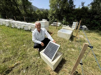 Antalya&rsquo;da arı kovanlarına dadanan ayılara elektrik telli &ouml;nlem
