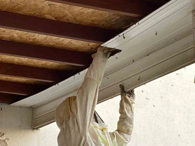 Antalya&rsquo;da hastane bah&ccedil;esinde oğul veren arılar toplandı
