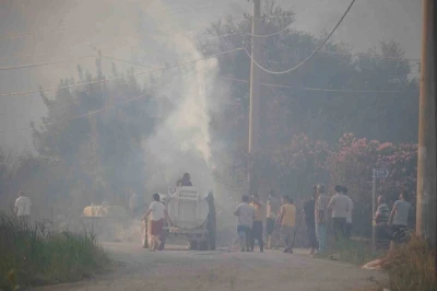 Antalya&rsquo;da iki noktada &ccedil;ıkan orman yangını kontrol altına alındı