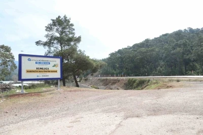 Antalya&rsquo;da narenciye balı i&ccedil;in coğrafi işaret tescil &ccedil;alışması
