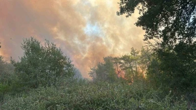 Antalya&rsquo;da orman dışı alanda &ccedil;ıkan yangına m&uuml;dahale s&uuml;r&uuml;yor