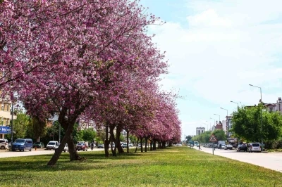 Antalya yaz renklerine b&uuml;r&uuml;n&uuml;yor
