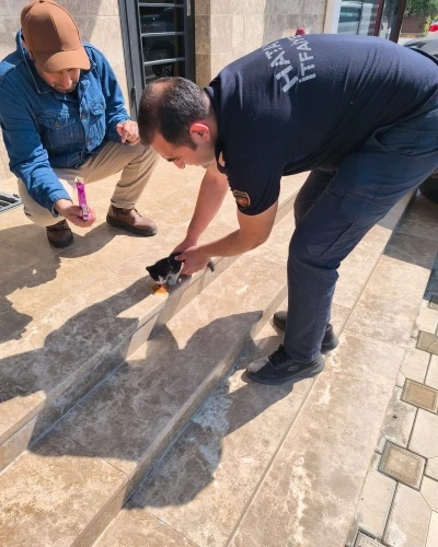 Aracın altına sıkışan yavru kediyi itfaiye kurtardı
