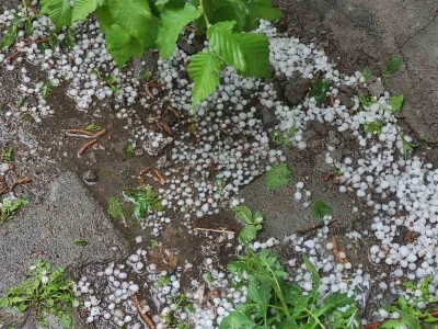Ardahan&rsquo;da sağanak ve dolu yağışı tarım arazilerine zarar verdi