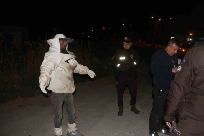 Arı kovanı y&uuml;kl&uuml; kamyonet devrildi, olanlar oldu
