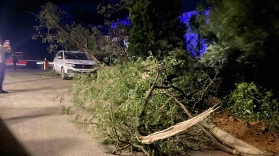 Artvin&rsquo;de fırtına &ccedil;atıları u&ccedil;urdu, ağa&ccedil;lar devrildi
