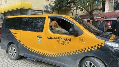 Sıra dışı taksi deneyimi
