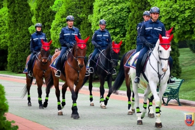 Atlı Jandarma Timleri G&ouml;rev Başında