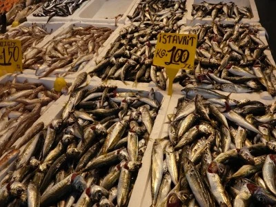 Av yasağı bitti, tezgahlar istavritle doldu