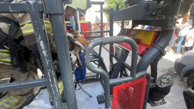 Avcılar&rsquo;da &ccedil;atı katında &ccedil;ıkan yangında 10 kedi &ouml;ld&uuml;; 2 kedi &ccedil;atıdan atladı