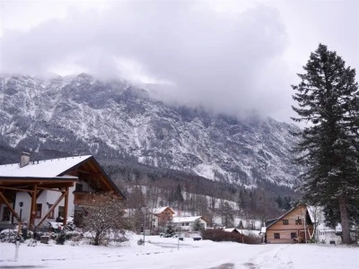 Avusturya'da &ccedil;ığ d&uuml;şt&uuml;: 8 &ouml;l&uuml;