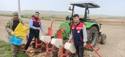 Ay&ccedil;i&ccedil;eği ekimlerini yerinde takip ediliyor
