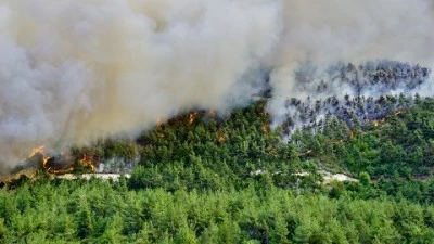 Aydın&rsquo;da ve K&uuml;tahya'daki yangınlara havadan ve karadan m&uuml;dahale