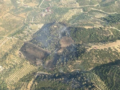 Aydın&rsquo;daki yangın kontrol altına alındı