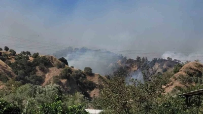 Aydın Valisi Canbolat: "Ekipler &ccedil;evreyi sardı, kısa s&uuml;rede kontrol altına alacağız"