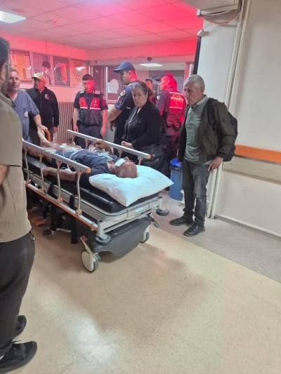 Ayının saldırdığı &ccedil;obanı k&ouml;pekleri kurtardı
