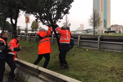 Aylık Toplam Yağışın 4 Katı Bir G&uuml;nde D&uuml;şt&uuml;