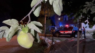 Ayva ağacının dalını kestiği i&ccedil;in amcasını &ouml;ld&uuml;rd&uuml;