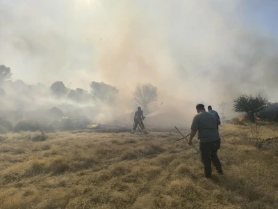 Ayvalık&rsquo;ta eş zamanlı &ccedil;ıkan 4 yangın b&uuml;y&uuml;meden s&ouml;nd&uuml;r&uuml;ld&uuml;