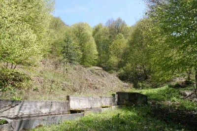 Baharın gelmesiyle doğanın g&uuml;zelliği g&ouml;renleri hayran bırakıyor
