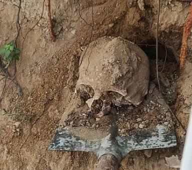 Bah&ccedil;ede yapılan kazıda insan kafatası ve kemikleri bulundu