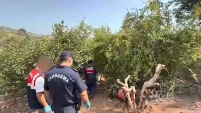 Bah&ccedil;esini kenevir tarlasına &ccedil;eviren ş&uuml;pheli tutuklandı