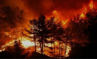 Bakan Yumaklı orman yangınlarındaki son durumu a&ccedil;ıkladı