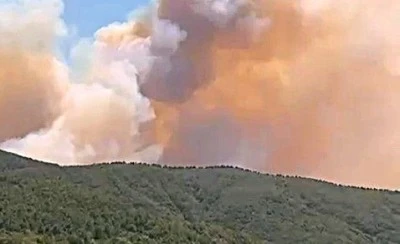 Bakan Yumaklı: "Bursa, Zonguldak, Bartın, Muğla, Balıkesir'deki yangınlar kontrol altına alındı"