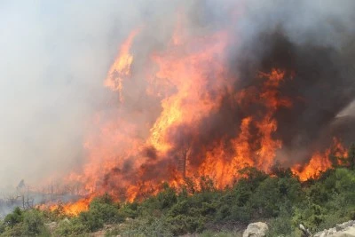 Bakan Yumaklı: Sadece Harmancık'taki yangın devam ediyor