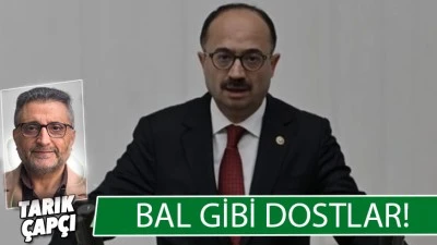 BAL GİBİ DOSTLAR  ! 