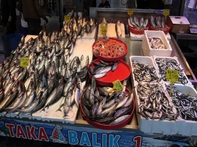 Balık tezgahlarında &ccedil;eşit bolluğu