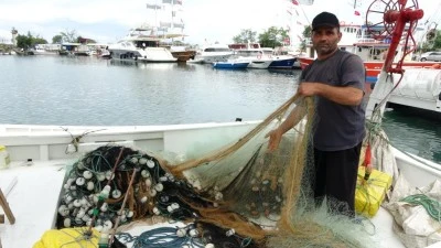 Balık&ccedil;ılar hamsiden umutlu
