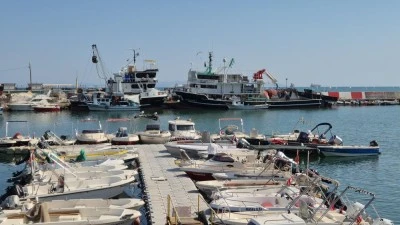 Balık&ccedil;ılar l&uuml;fer ve palamuttan umutlu