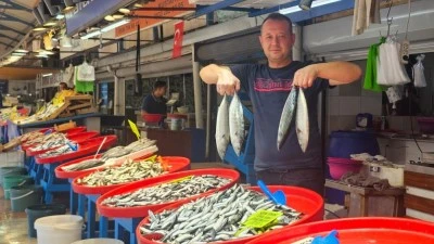 Balık&ccedil;ılar Marmara Denizi'nden istedikleri verimi alamıyor