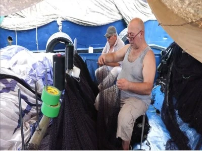 Balık&ccedil;ılar sezondan umutlu: Vatandaş palamudu uygun fiyata yiyecek