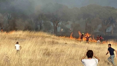 Balıkesir Ayvalık&rsquo;ta &ccedil;ıkan &ouml;rt&uuml; yangınına m&uuml;dahale ediliyor