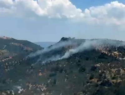 Balıkesir Burhaniye'de zeytinlik alanda yangın