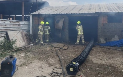 Balıkesir&rsquo;de ahırda &ccedil;ıkan yangında 42 k&uuml;&ccedil;&uuml;kbaş hayvan telef oldu
