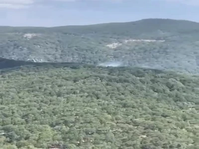 Balıkesir'de orman yangını